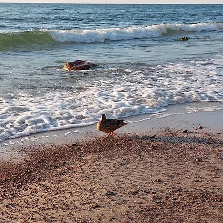 Debina Lounge 54 アパート *