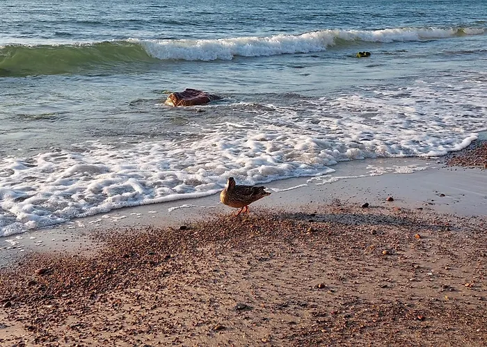 Debina Lounge 54 Lägenhet *